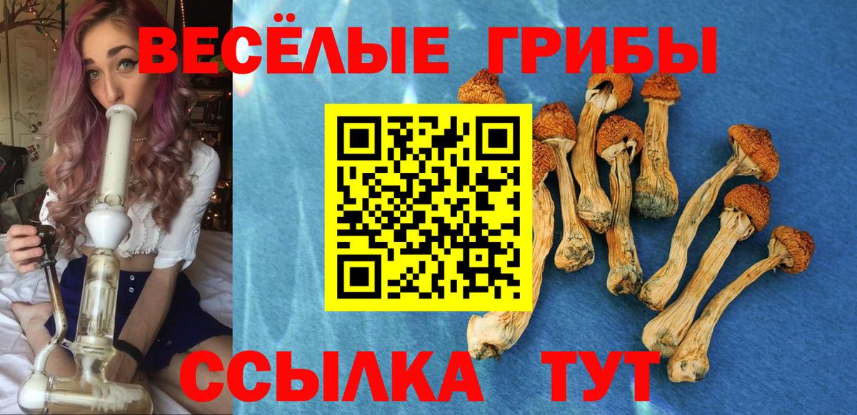 Галлюциногенные грибы мухоморы  Галлюциногенные грибы ЛСД  Алатырь  закладка  Вход с VPN 