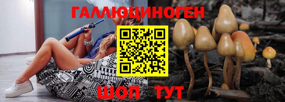 Галлюциногенные грибы прущие грибы Алатырь